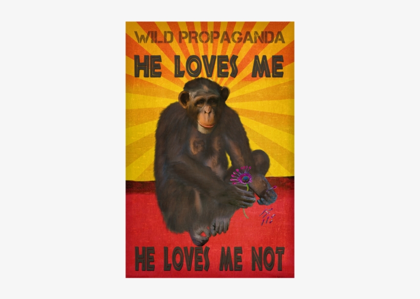 Chimpanzee He Loves Me, He Loves Me Not Vintage Black - Crewneck Tee Vintage Black, transparent png #3086700