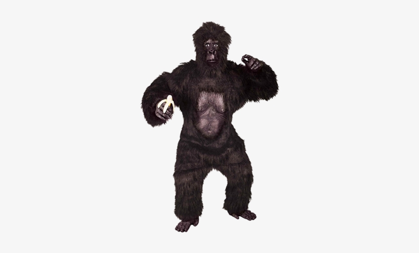 Small Eyes Bf - Gorilla Costume, transparent png #3087034