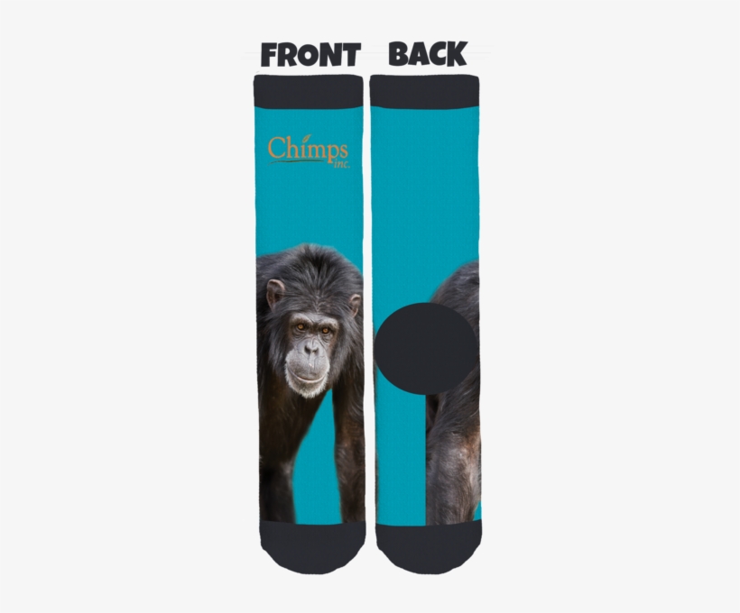 Crew Socks - Front And Back Socks, transparent png #3087089