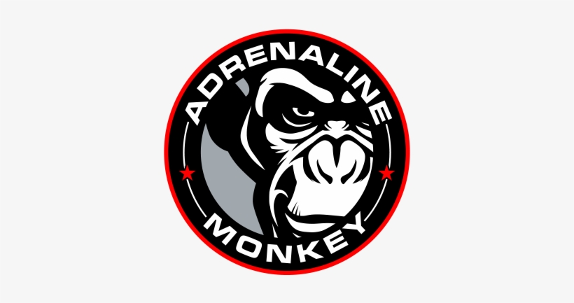 Contact Us - Adrenaline Monkey, transparent png #3088345