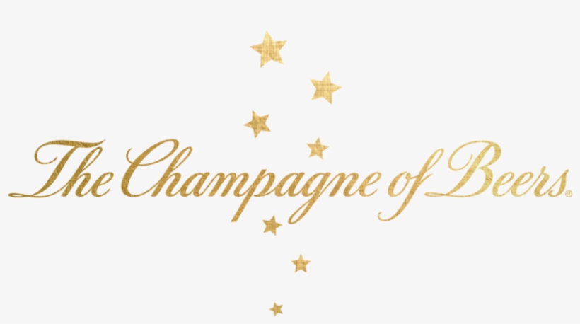 Hl-background2 - Soulsight®, transparent png #3089301