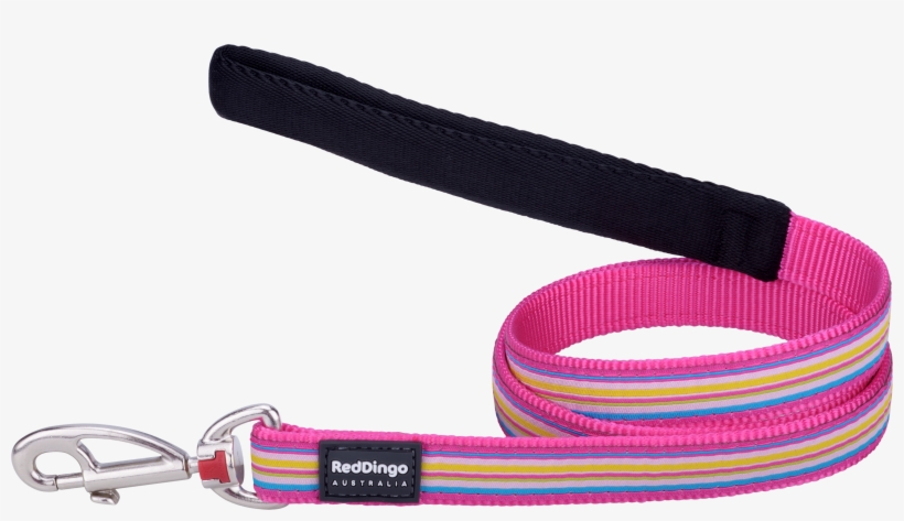 Product Codes - Belt, transparent png #3089482