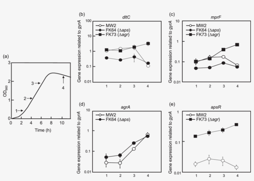 Dlt, Mprf, Apsr And Agra Expression In S - Growth Curve, transparent png #3089515