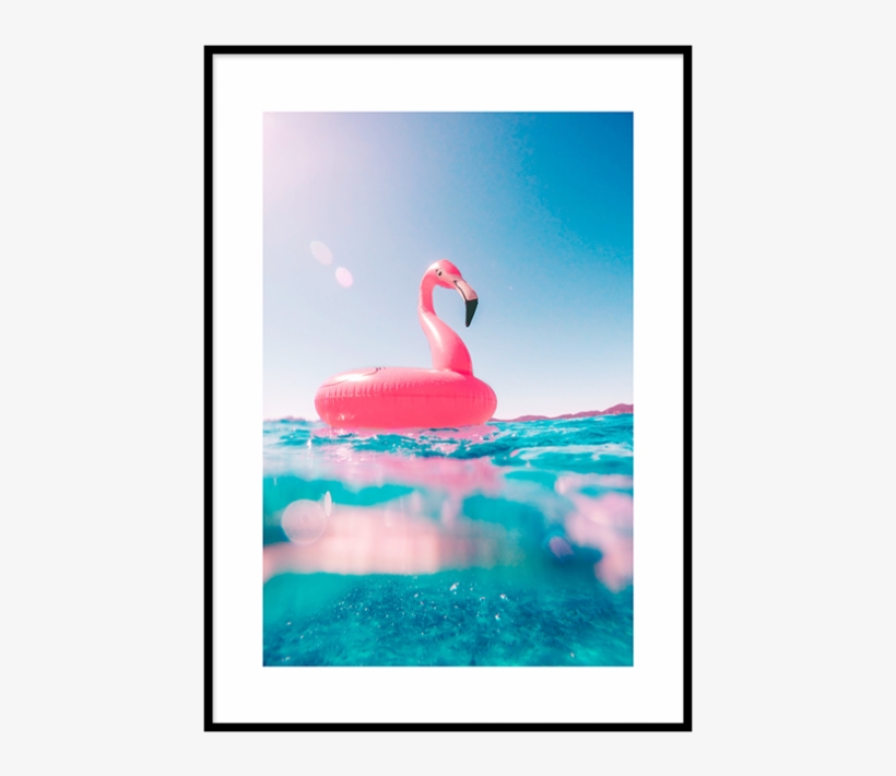 Flamingo Floatie Poster - Water Flamingo, transparent png #3091056