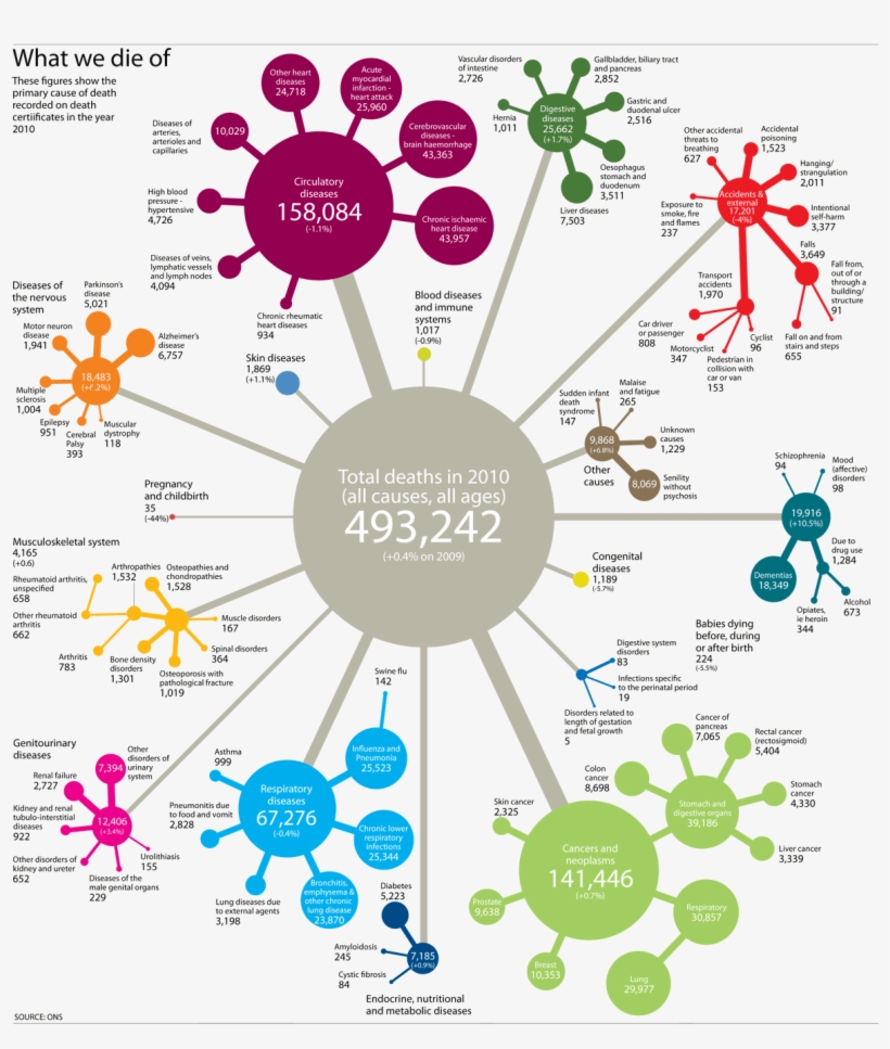 Every Cause Of Death In England And Wales, Visualised - Epidemiology Graphic, transparent png #3092437