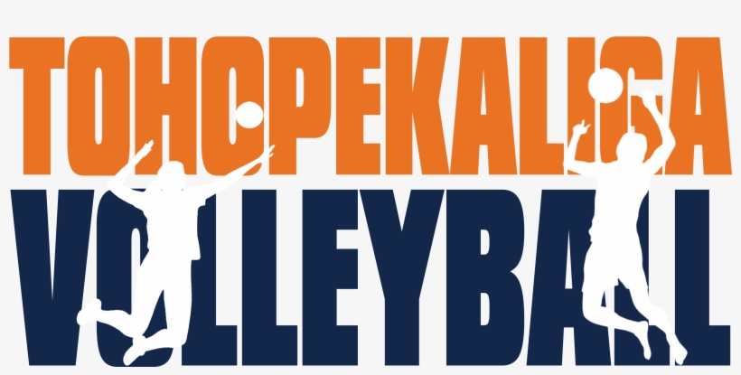 Toho Volleyball Banner Image - Volleyball, transparent png #3092888