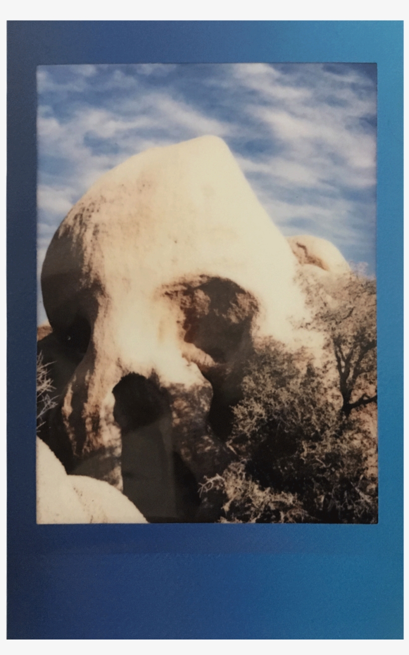 Go Solo In Joshua Tree, transparent png #3093403