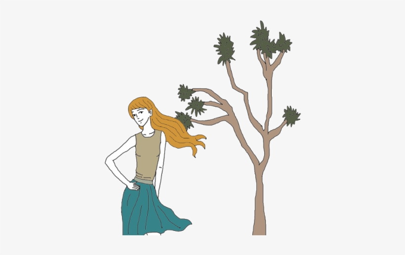 Joshua Tree - Tree, transparent png #3093428