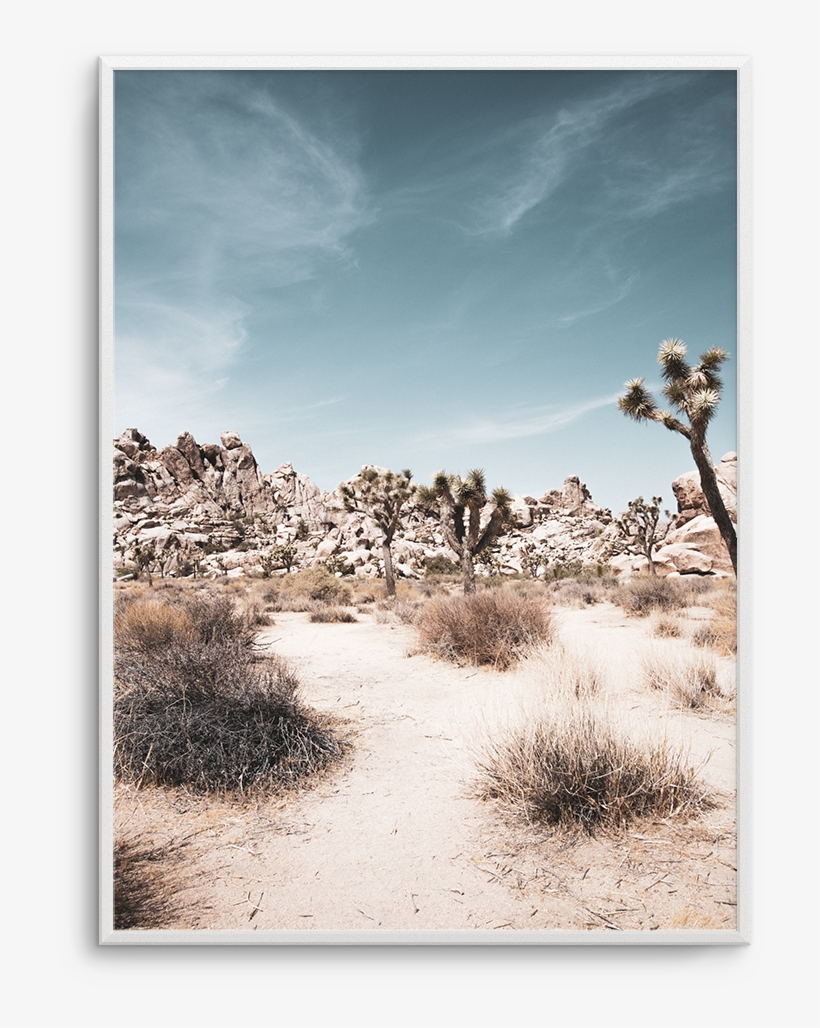 Joshua Tree - Sahara, transparent png #3093453