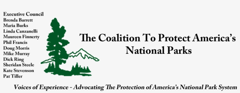 Cpanp Web 2016 Ec Letter Banner - Letter, transparent png #3093705