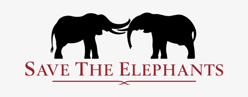 Ste-670x726 - Save The Elephants Logo, transparent png #3094106