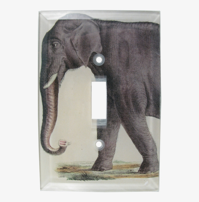 Elephants Png, transparent png #3094191