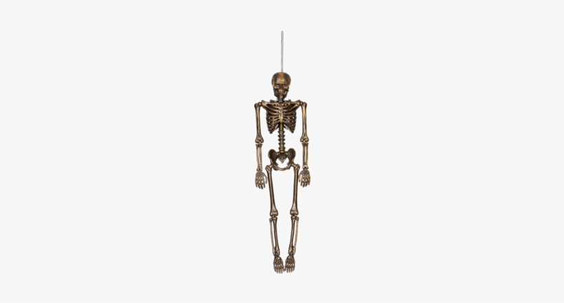Halloween Gothic Hanging Human Skeleton Decoration, transparent png #3094927