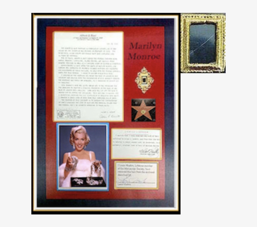 Littlecopper Gloves, Cream, Satin, Shiny, Evening., transparent png #3095992