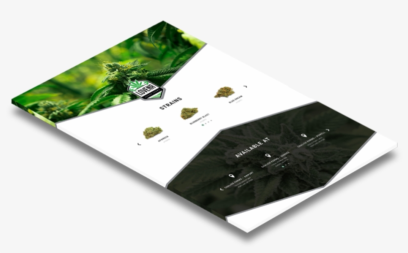 We Believe That Technology Shapes Today's Culture Like - Oregon, transparent png #3096036