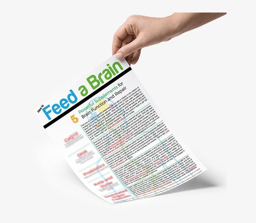 Favorite Supplement Handout - Brain, transparent png #3096868