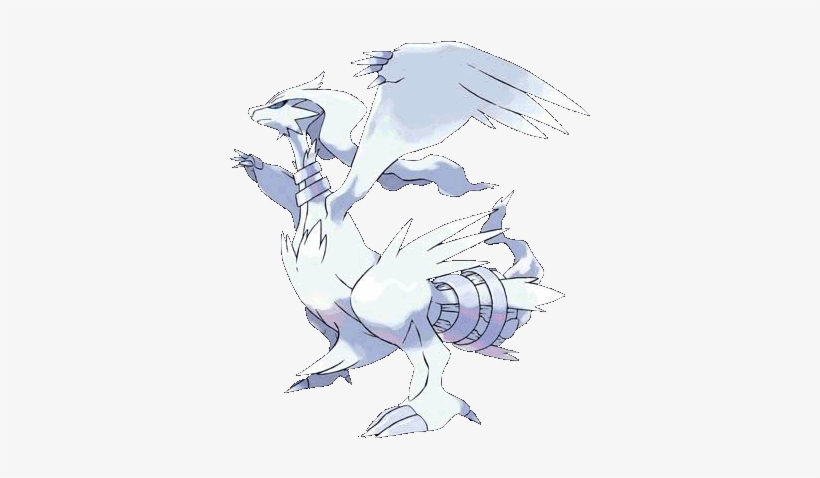 The Counterpart Legend Is Zekrom, The Black Yang Pokemon, - Legendary Black And White, transparent png #3097296