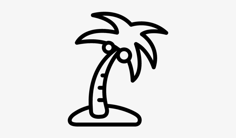 Palm Tree With Coconauts Vector - Summer Clip Art Black And White, transparent png #3097994
