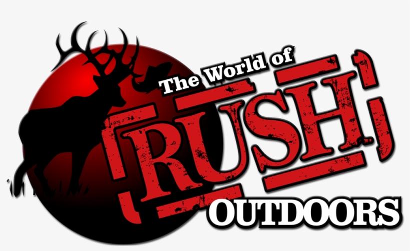 Graphic Design, transparent png #3098228