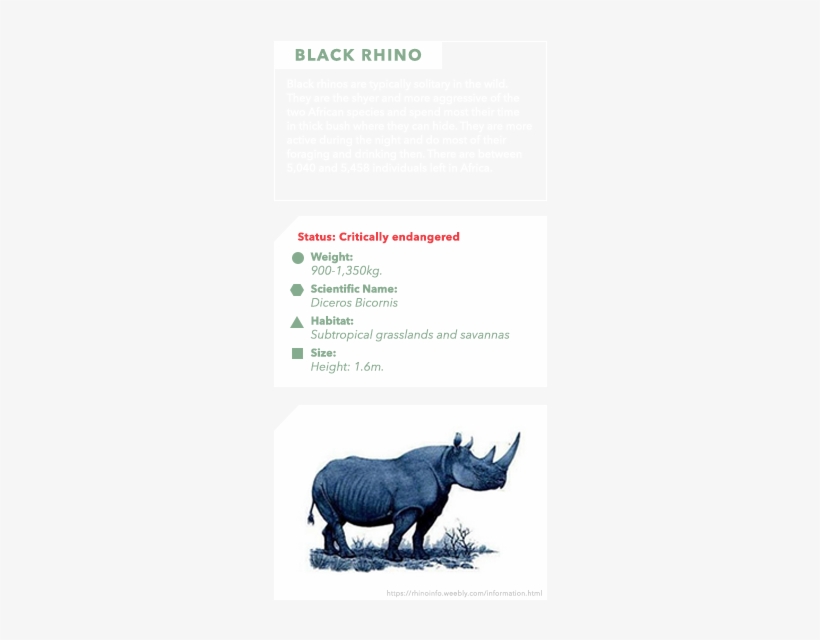 White Rhino - Black Rhinoceros, transparent png #3098417