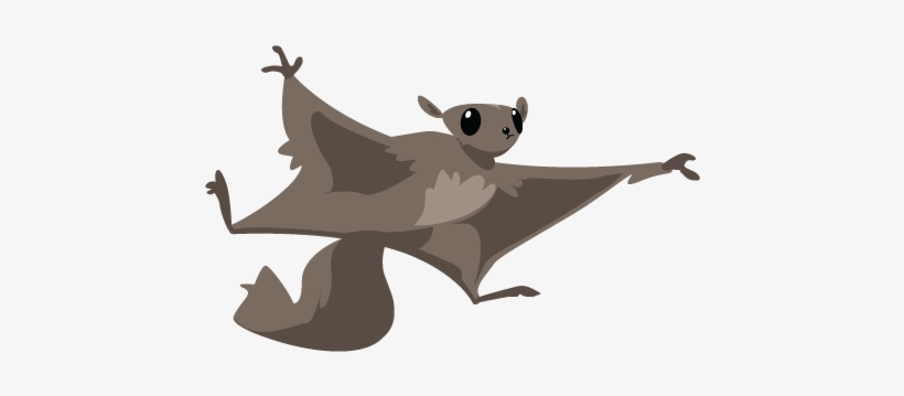Kidsfest-flyingsquirrel - Portable Network Graphics, transparent png #310525