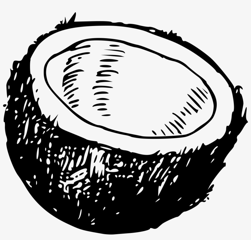 Clipart - Coconut Clipart Black And White, transparent png #310614