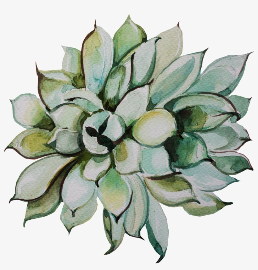 This Graphics Is Fresh Hand-painted Succulents Transparent - Portable Network Graphics, transparent png #310658