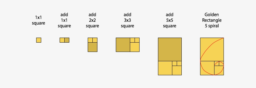 The - Make The Golden Ratio, transparent png #311209
