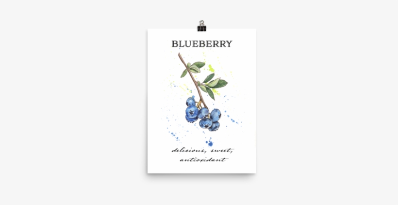 Juniper Berry, transparent png #311255