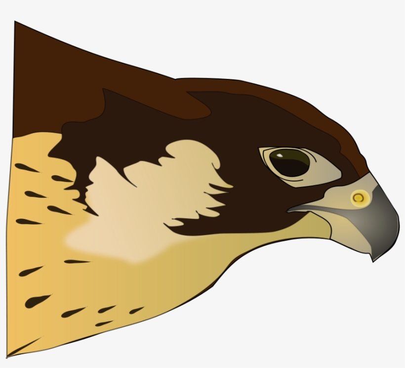 How To Set Use Halcón-hawk Clipart, transparent png #311607
