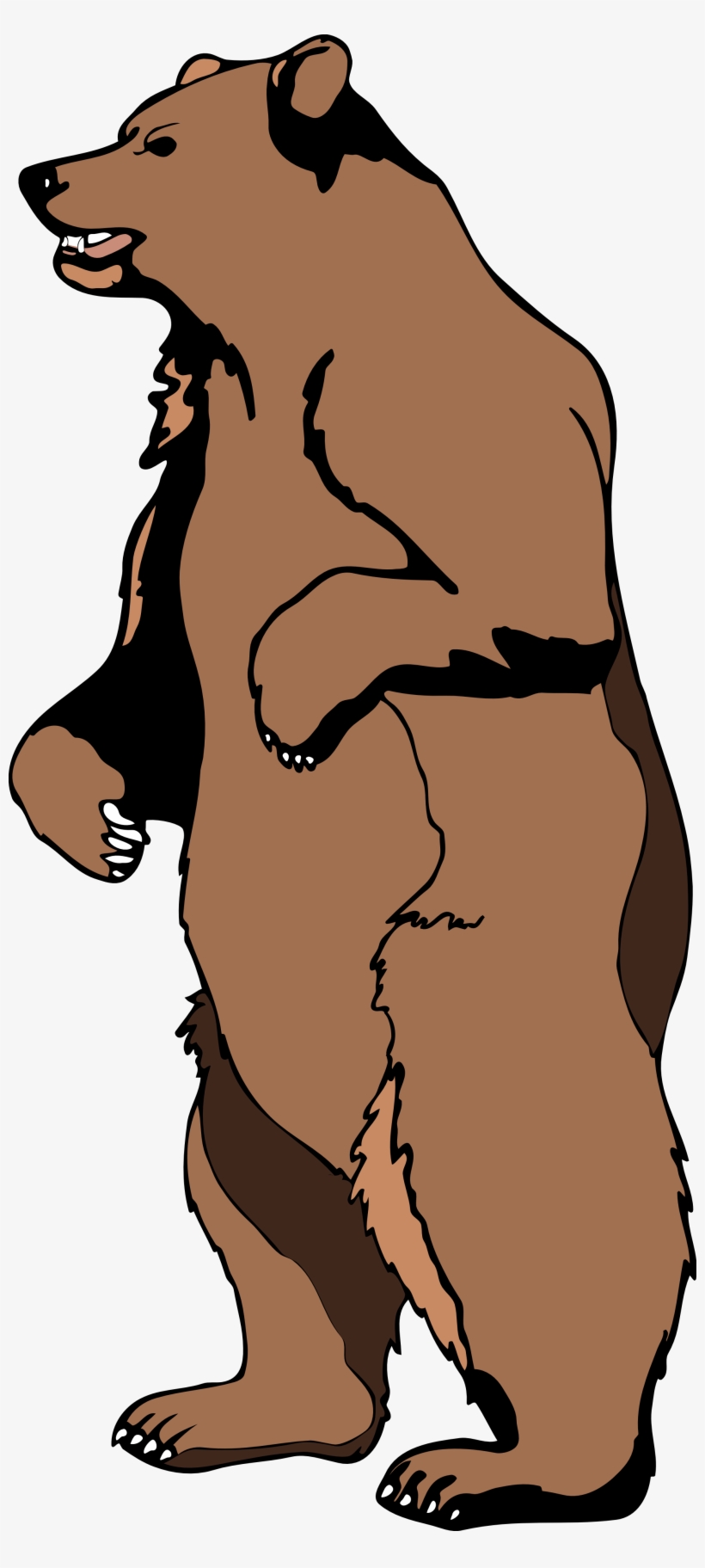 Clip Art Grizzly Bear Clipart Panda - Bear Standing Up Cartoon, transparent png #311807