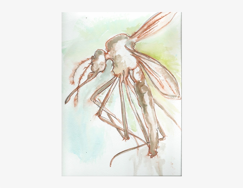 A Life Worth Living - Sketch, transparent png #311831