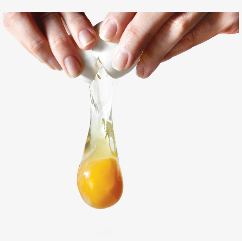 Egg-open, transparent png #312599