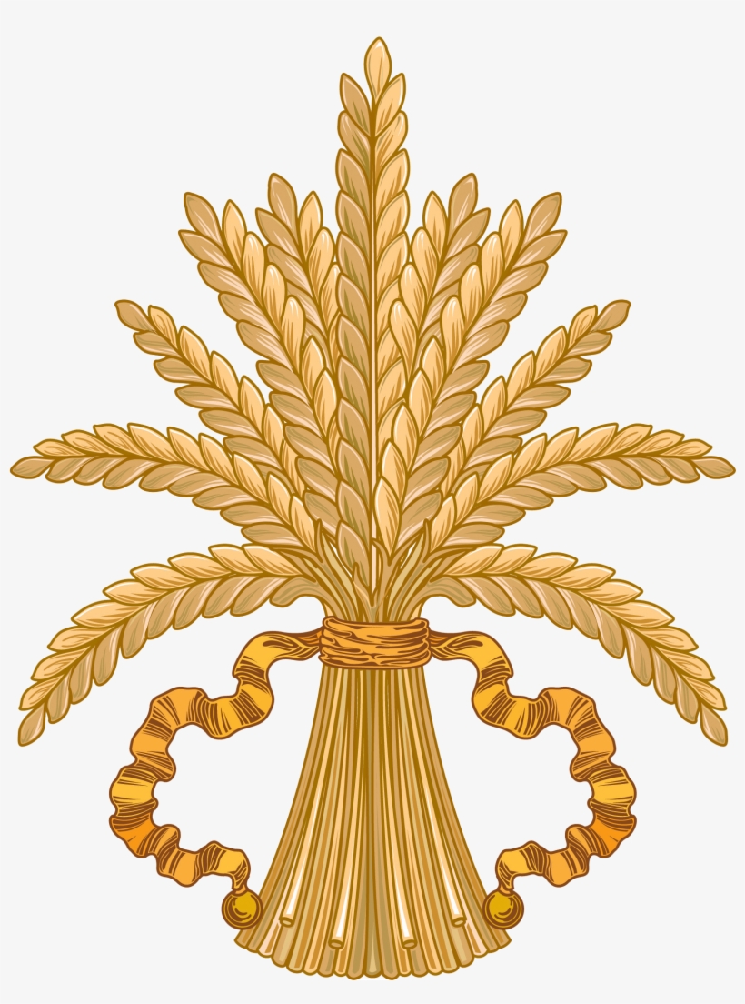 Wheat Png, transparent png #313063