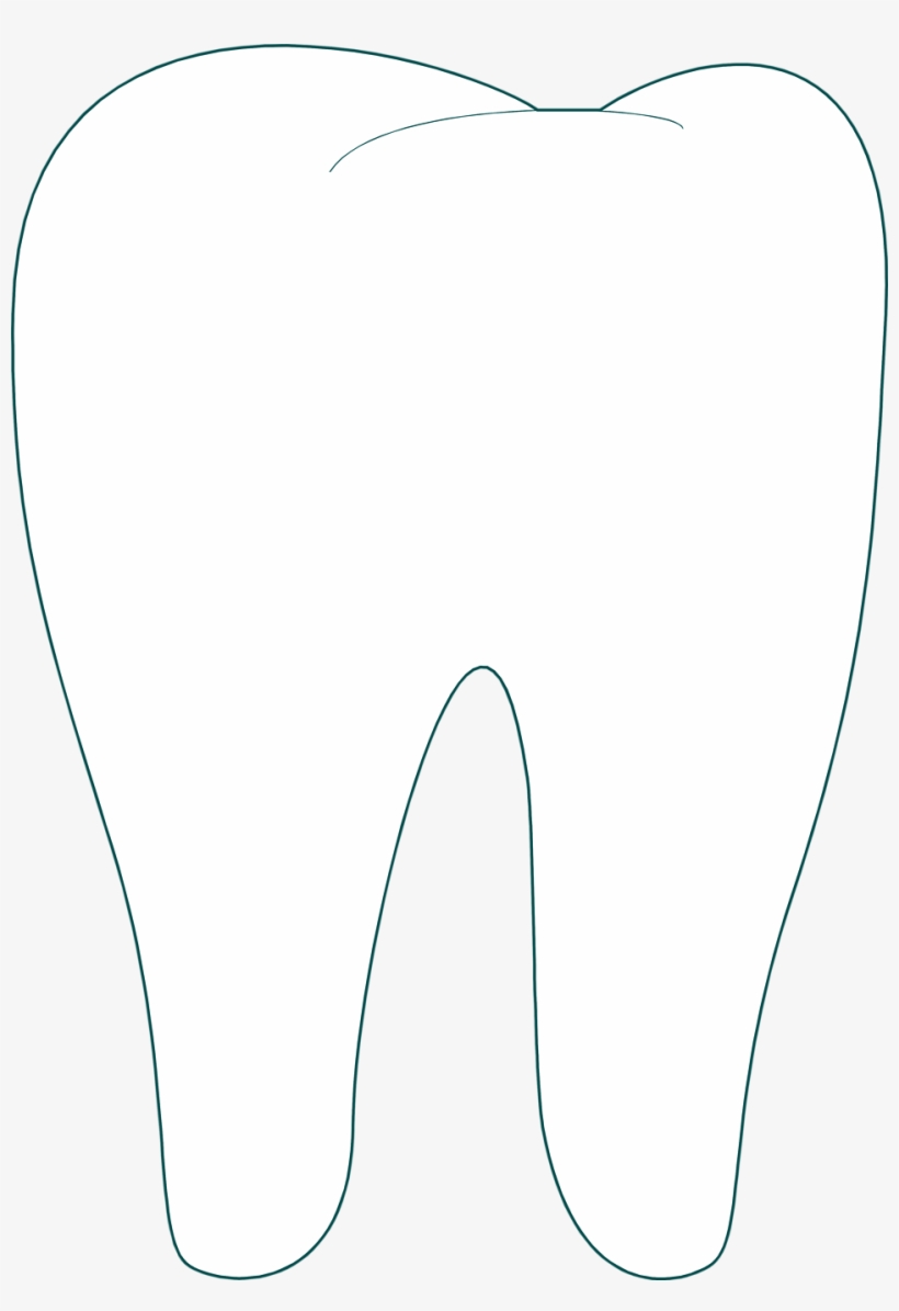 Collection Of Tooth High Beaver - White Tooth Clipart Transparent Background, transparent png #313857