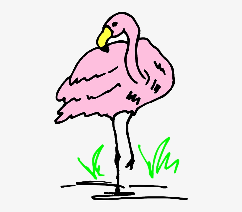 Water, Cartoon, Pink, Bird, Grass, Art, Flamingo - Flamingo Cartoon, transparent png #313950