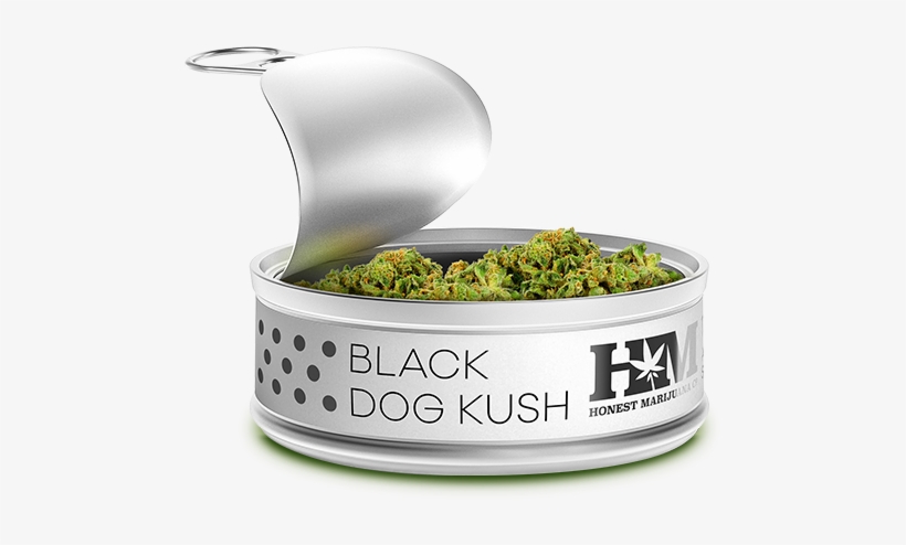 Honest Flower - Cannabis Products Png, transparent png #314112