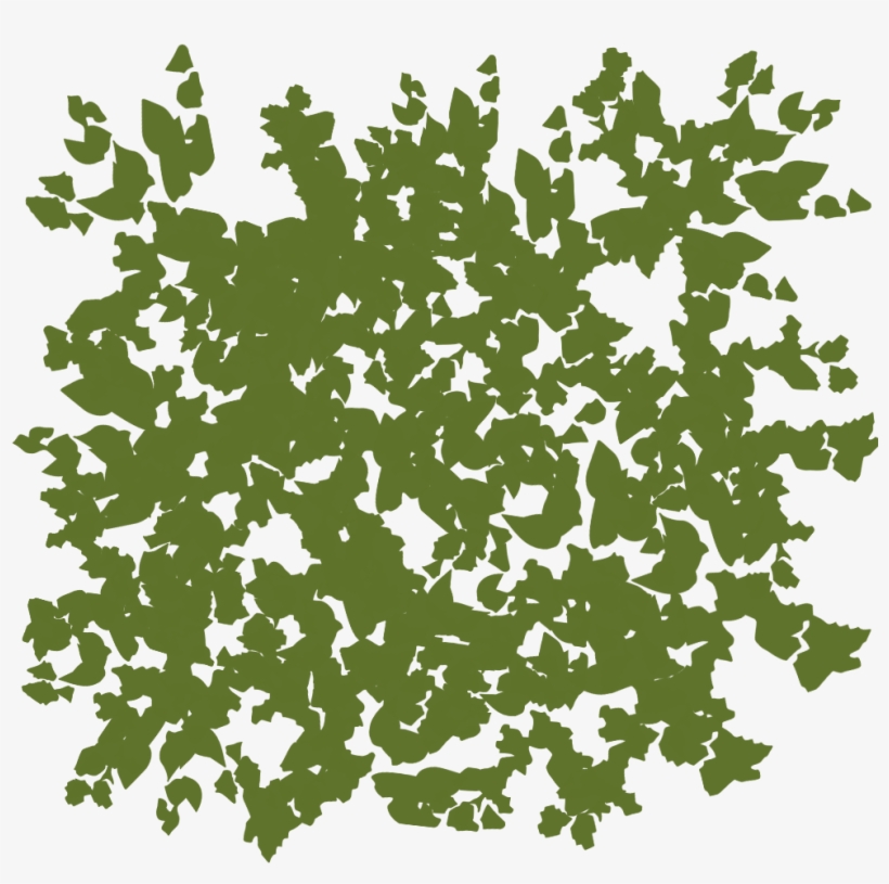 You Can See That The Elm Is Kinda Round - Painting, transparent png #315101