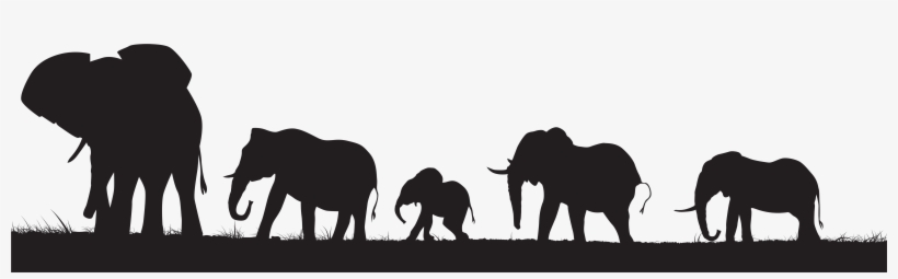 Herd Of Elephants Silhouette, transparent png #315338