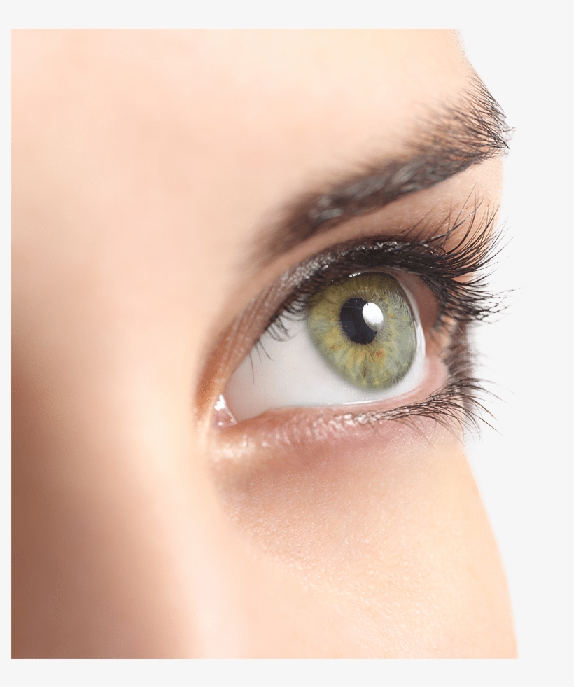 Our Aesthetician Has Been Performing Individual Extensions - Optimized Products Best Biotin Peptide Infused Eyebrow, transparent png #315339