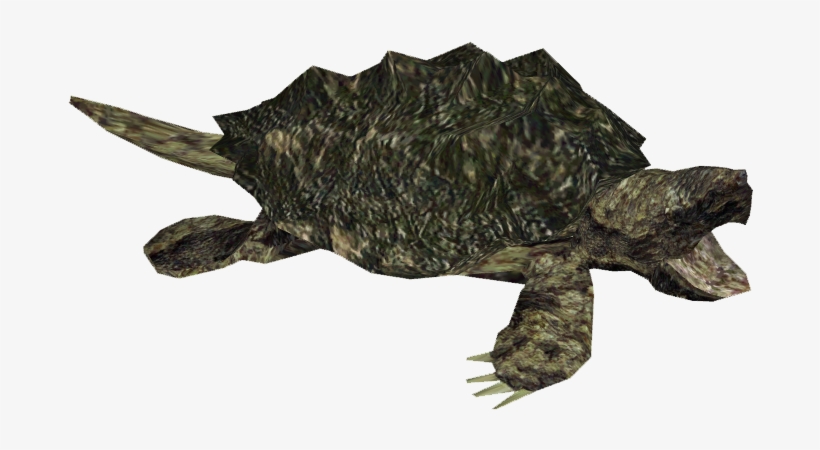 Alligator Snapping Turtle - Snapping Turtle Png, transparent png #316142