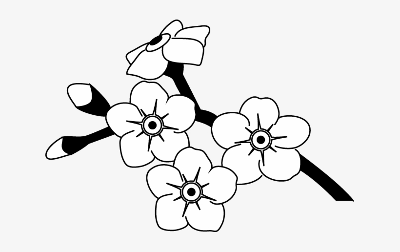 Drawn Flower Spring - Forget Me Not Flower Outline, transparent png #316264