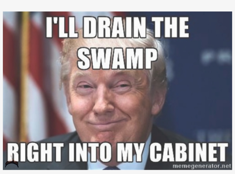 Donald Trump 2017 05 - Drain The Swamp Meme, transparent png #316321