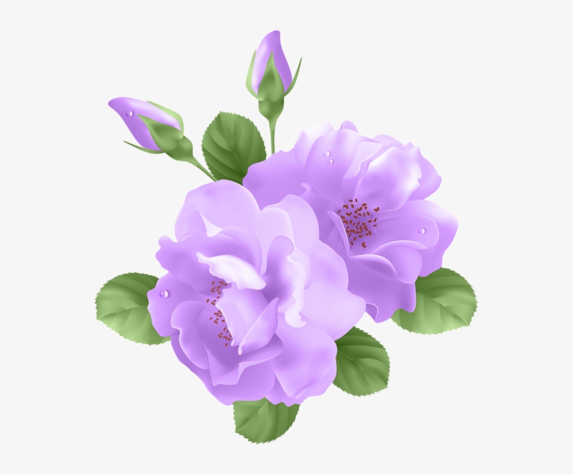 Png Free Library Image Purple Rose Png Animal - Purple Rose Clipart, transparent png #317102