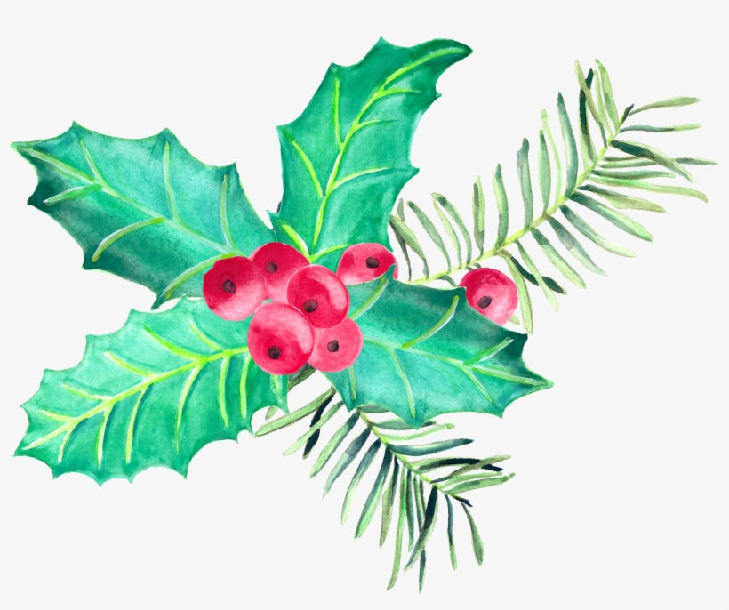 Watercolour, Cgi, Natal, Pen And Wash, Watercolor Painting, - Plants, transparent png #317151