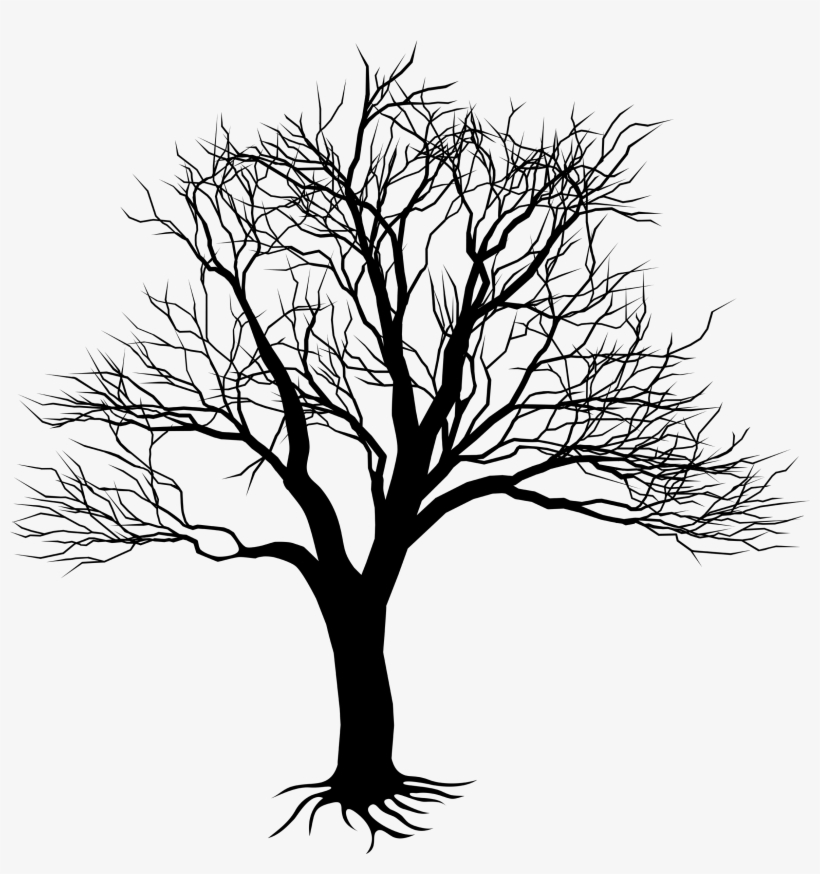 Drawing Of Tree On Wall Kill A Mockingbird Tree Free Transparent