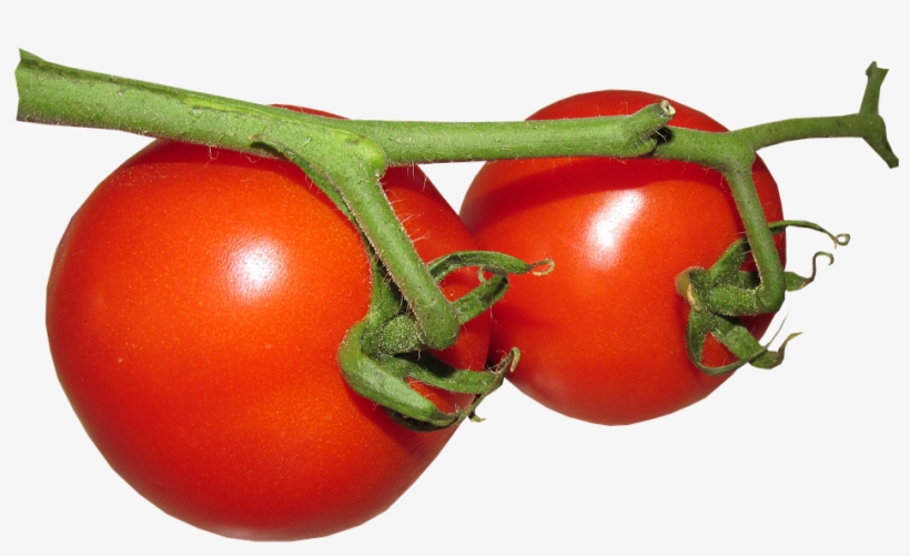 Fresh Tomato Free Png Image - Food, transparent png #317348