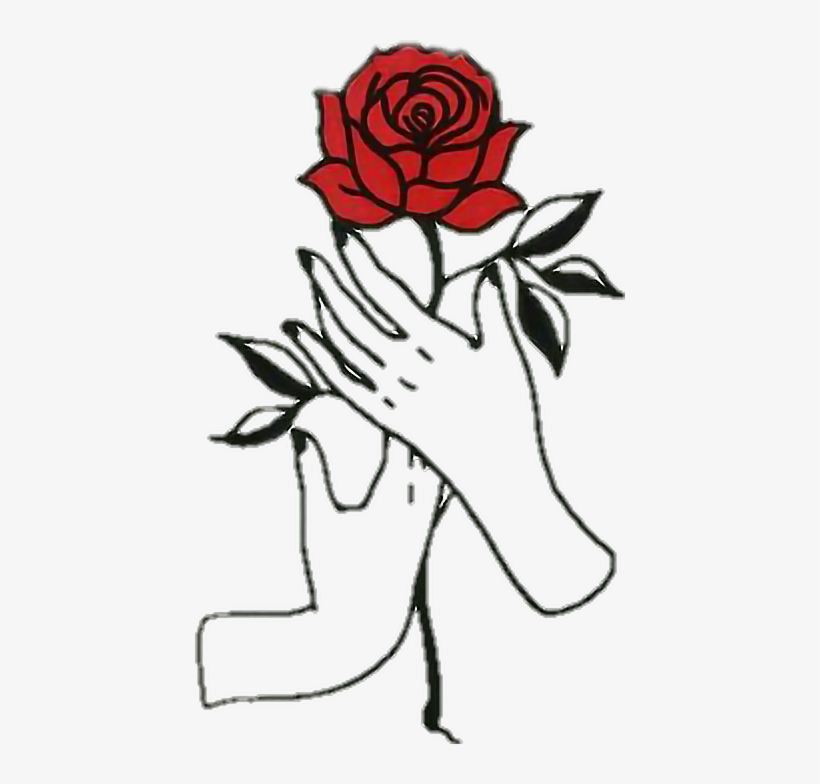 Rose Hands Aesthetic Draw - Png Rose, transparent png #317721