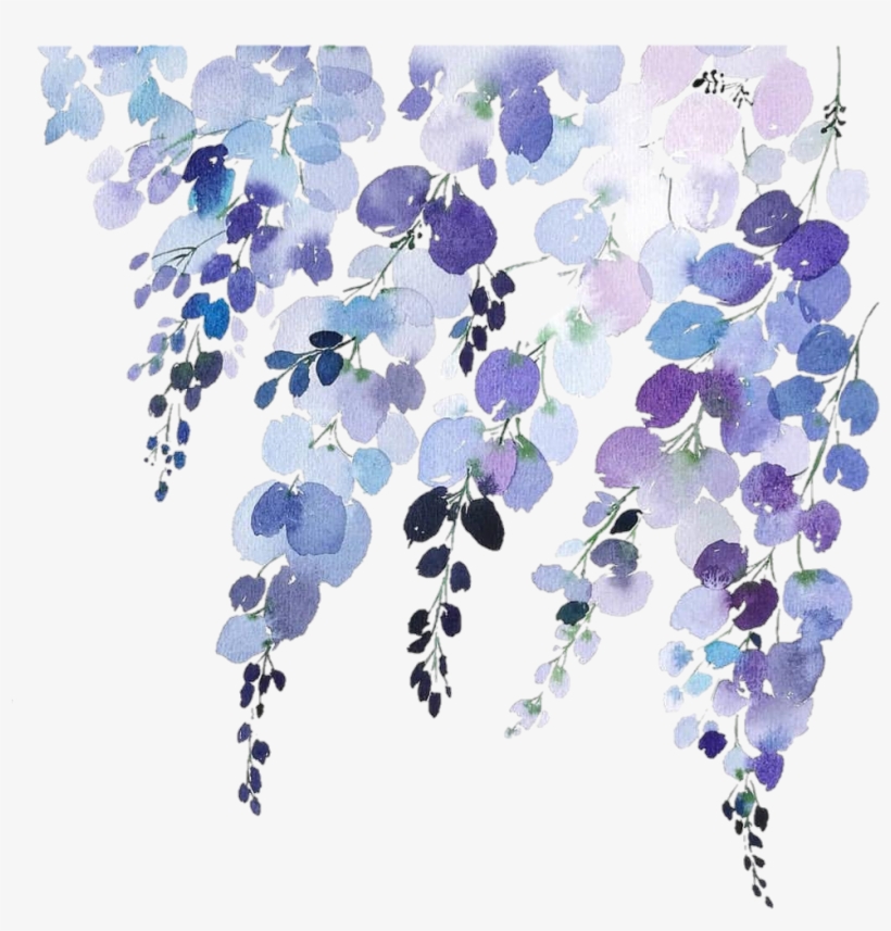 Report Abuse - Blueberry, transparent png #318029