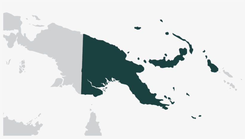 2017 Findings On The Worst Forms Of Child Labor - Wilsons Bird Of Paradise Habitat, transparent png #318051